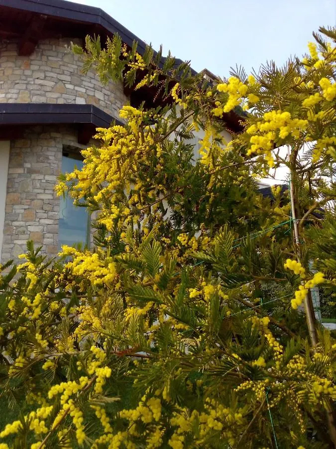 B&B Rosalu - Adults Only Sirmione Italy